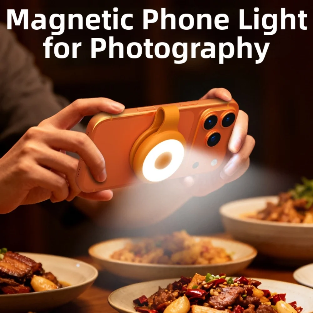 USB Rechargeable Phone Fill Li - đánh giá và giá Outdoor Lighting And Camera