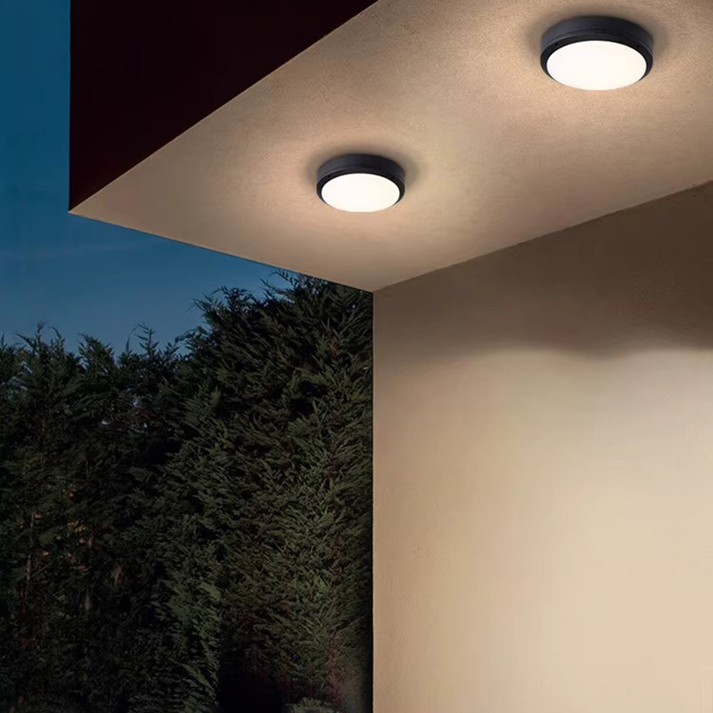 Outdoor Ceiling Light Waterpro - đánh giá và giá Outdoor Lighting Under Roof